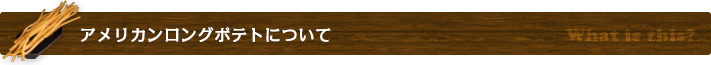 アメリカンロングポテトについて